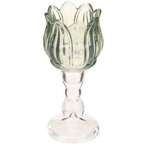 Article Photophore tulipe verre vert Ø7cm H16cm 2pcs