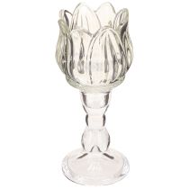 Article Photophore tulipe en verre avec base transparente Ø7cm H16cm 2pcs