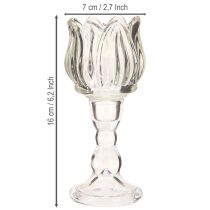 Article Photophore tulipe en verre avec base transparente Ø7cm H16cm 2pcs