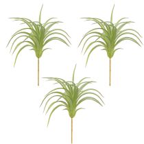 Article Plantes Artificielles Vertes Tillandsia avec Bâton Ø17cm 3 pcs