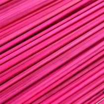 Article Tonkin Rose 70cm - 80cm 150 pcs