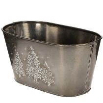Article Pot de fleurs ovale orné d'un sapin en relief, 25 cm