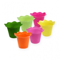 Article Pot fleur plastique Ø10.5cm 25p