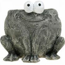 Article Porte-pot grenouille avec sourire gris 11x12cm