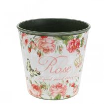 Article Jardinière, godet à planter, jardinière avec rosier H13cm Ø13.5cm