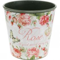 Article Jardinière, godet à planter, jardinière avec rosier H13cm Ø13.5cm