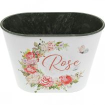Article Jardinière, roses décoratives en pot, coupe fleurie L19cm H12.5cm