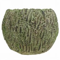 Article Jardinière en béton aspect antique vert, jardinière marron Ø13cm