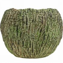 Article Pot de fleurs rond en béton, aspect antique, vert et marron, Ø15,5 cm