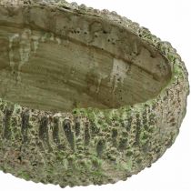 Article Jardinière béton ovale aspect antique vert, marron 24×14×13cm