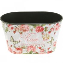 Article Roses en pot, récipient décoratif, plateau de fleurs 21,5 cm / 18,5 cm lot de 2