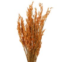 Article Déco Sec Avoine Déco en Orange L64cm 70-75g 2pcs