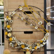 Article Fleur Séchée Massasa Noir Décoration Naturelle 50-55cm Bouquet de 10 pcs