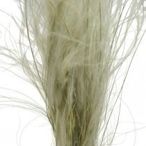 Article Fleurs séchées déco plume herbe herbe sèche nature 50g