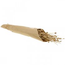 Article Fleurs séchées capsules de graines de pavot nature séchées bouquet de décoration séché sauvage 100g