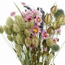 Bouquet d&#39;herbe sauvage aux fleurs éternelles, fleurs séchées 70g