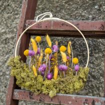 Article Fleurs séchées Fleurs de calotte Fleurs de paille violettes H42cm