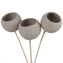 Article Fleurs séchées coupelles décoratives en forme de cloche sur tige gris 37cm 3 pcs