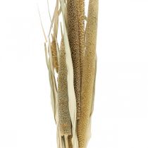 Article Fleuristerie sèche Céréales Botte d&#39;épis de millet séchés 45cm