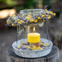 Article Fleurs séchées chardon sec jaune chardon fraise 100g
