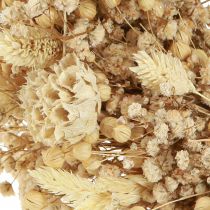 Article Couronne de fleurs sèches couronne décorative blanchie crème Ø25cm