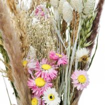 Bouquet de fleurs séchées herbe Phalaris paille fleurs rose 60cm 110g