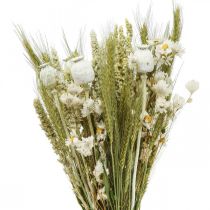 Bouquet de fleurs séchées paille fleurs grain coquelicot capsule herbe sèche 50cm