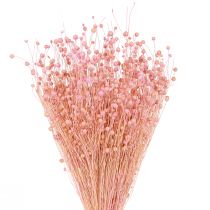 Article Lin séché à l&#39;herbe sèche rose clair H50–55cm 80g