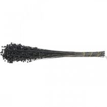Article Herbe décorative en lin séché, noire, 50-55 cm, 80 g