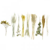 Article Kit de fleurs séchées jaunes pour la création de bouquets et de couronnes décoratives (60 cm) – Produit naturel