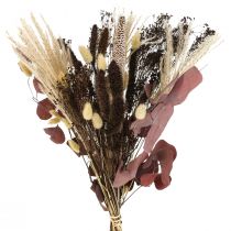 Bouquet sec eucalyptus herbe sèche bouquet 60cm 120g