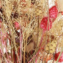 Article Bouquet sec de centaurée fraise chardon rouge blanchi 150g