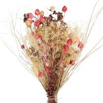 Article Bouquet sec de centaurée fraise chardon rouge blanchi 150g