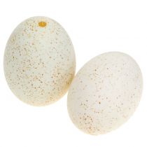 Article Oeufs de dinde naturels 6,5 cm 10 pièces