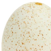 Article Œufs de dinde naturels, décoration de Pâques, véritables œufs d'oiseau, 6,5 cm, lot de 10.