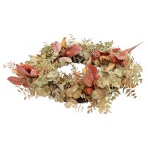 Couronne de porte eucalyptus couronne d&#39;eucalyptus décoration artificielle Ø55cm