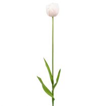 Tulipe blanc-rose 86cm 3pcs