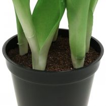 Article Tulipe rose, verte en pot Tulipe décorative artificielle en pot H23cm