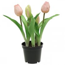 Tulipe rose, verte en pot Tulipe décorative artificielle en pot H23cm
