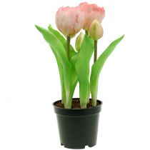 Article Fleurs artificielles en pot Tulipes artificielles rose jaune 22,5 cm