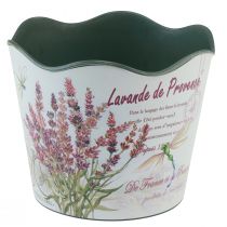 Article Jardinière plastique pot de fleur lavande Ø13,5cm H12cm