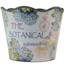 Article Jardinière pot de fleur en plastique hortensias d&#39;été Ø16,5cm H13,5cm