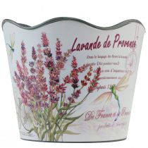 Article Jardinière pot de fleur plastique été lavande Ø16,5cm H13,5cm