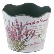 Article Jardinière pot de fleur plastique été lavande Ø16,5cm H13,5cm