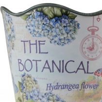 Article Jardinière pot de fleur hortensia plastique Ø13,5cm H12cm