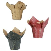 Jardinière papier étoiles rouge/anthracite/naturel Ø9,5cm H10cm 9 pièces