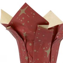 Jardinière papier étoiles rouge/anthracite/naturel Ø9,5cm H10cm 9 pièces