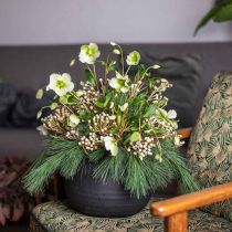 Article Jardinière Pot de Fleurs en Céramique Noire Ø23cm H19.5cm