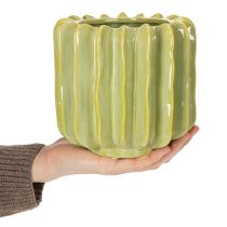 Article Pot de fleurs en forme de cactus, bol idéal pour une touche exotique dans votre intérieur, 16 cm