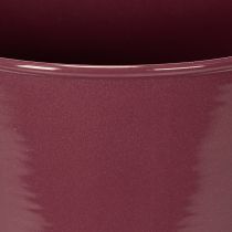 Article Pot de fleurs en forme de coupe, style moderne, décoratif pour la maison et le bureau, 23 cm